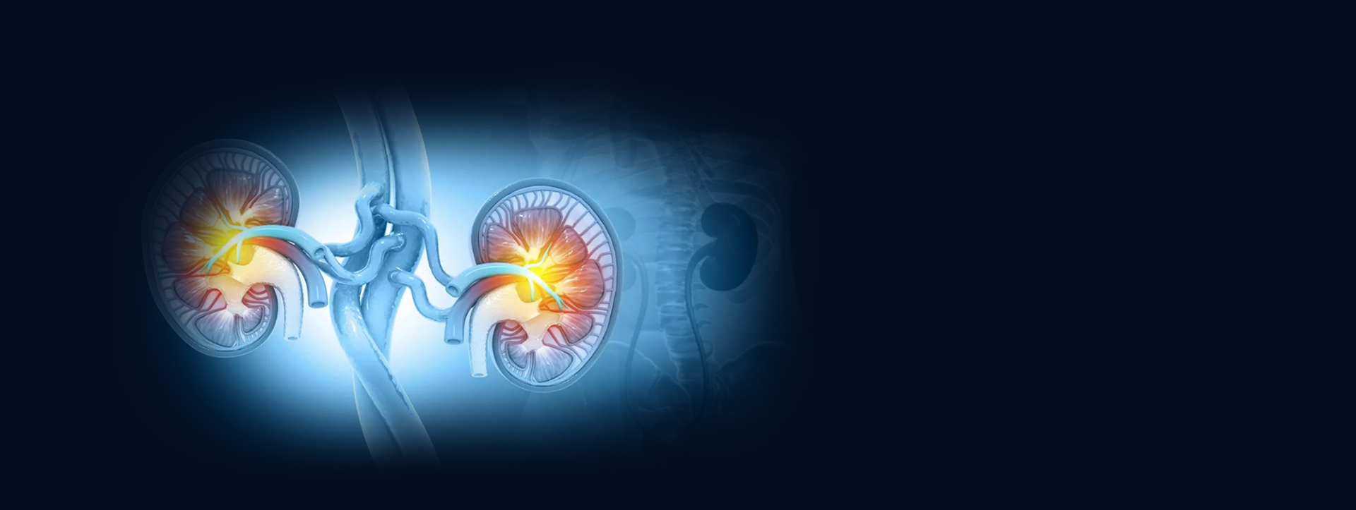 Wellness One Day Surgery - Urology Clinic Abu Dhabi